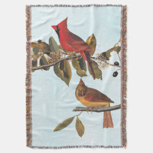 Audubon Cardinal Pair i Vild Almond Träd Filt