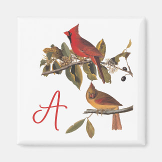 Audubon Cardinal Pair i Vild Almond Träd Magnet