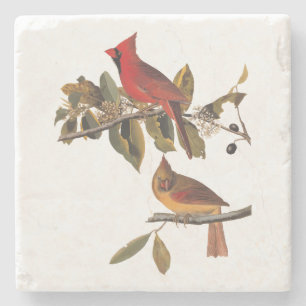 Audubon Cardinal Pair i Vild Almond Träd Underlägg Sten