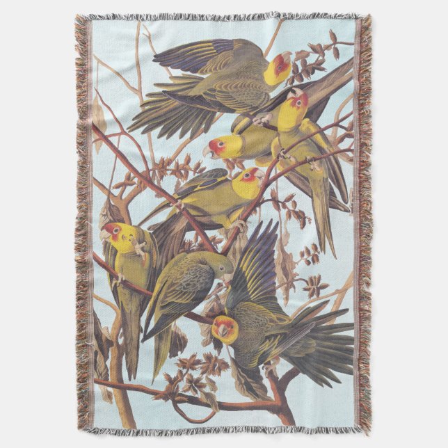 Audubon Carolina Parakeet Flock Filt (Framsidan Vertikal)