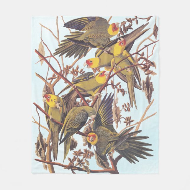 Audubon Carolina Parakeet Flock Fleecefilt (Framsidan)