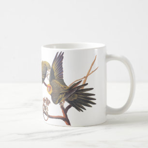 Audubon Carolina Parakeet Mugg