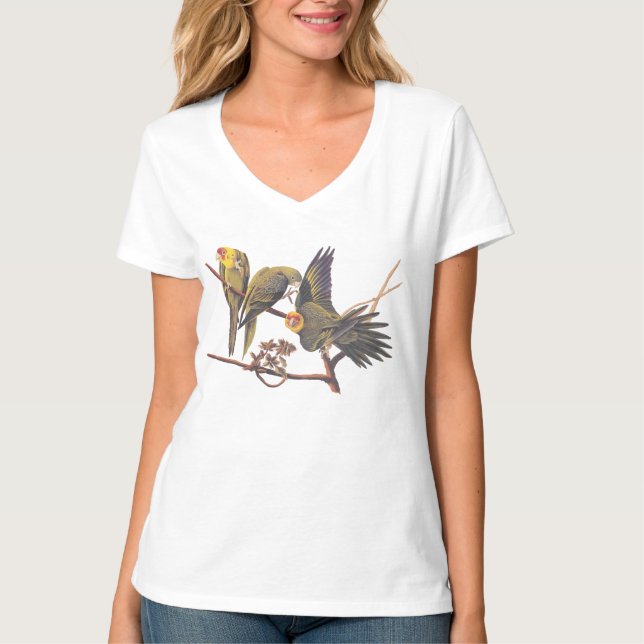 Audubon Carolina Parakeet Trio T Shirt (Framsida)