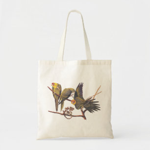 Audubon Carolina Parakeet Trio T-Shirt Tygkasse