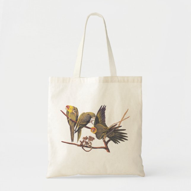 Audubon Carolina Parakeet Trio T-Shirt Tygkasse (Framsidan)