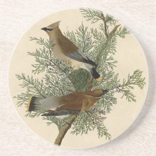Audubon Cedar Waxwing Underlägg