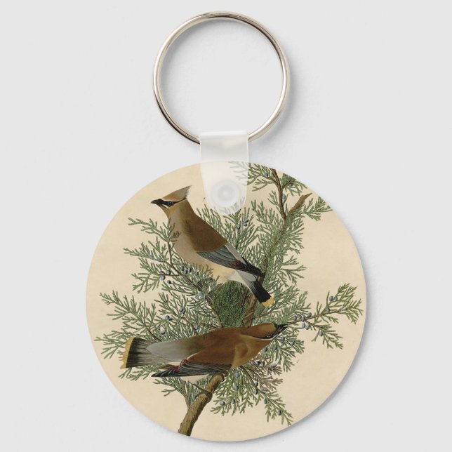 Audubon Cedervaxvinge Nyckelring (Framsida)