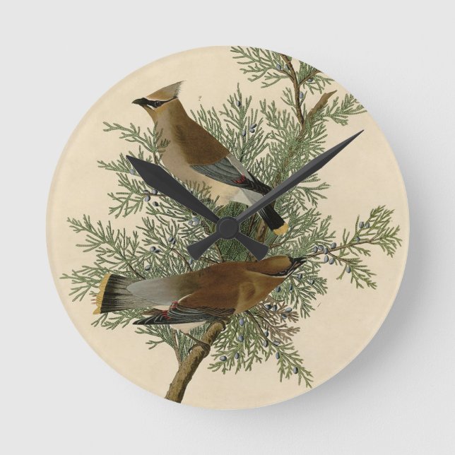 Audubon Cedervaxvinge Rund Klocka (Framsida)