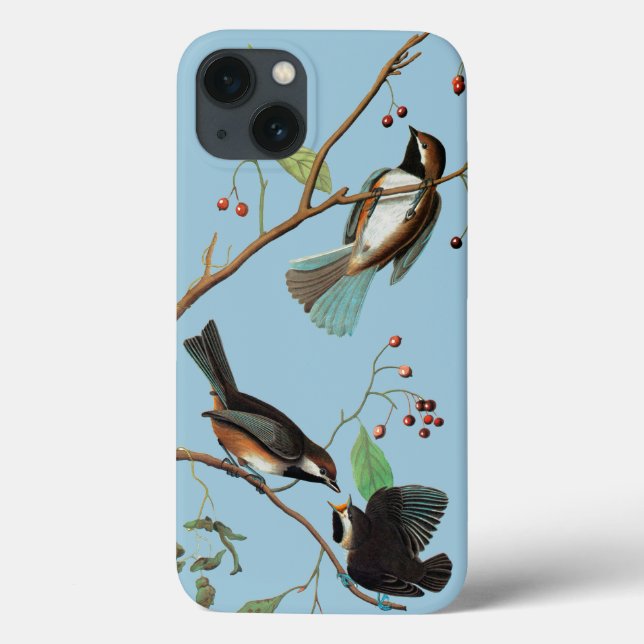 Audubon: Chickadee (Baksida)