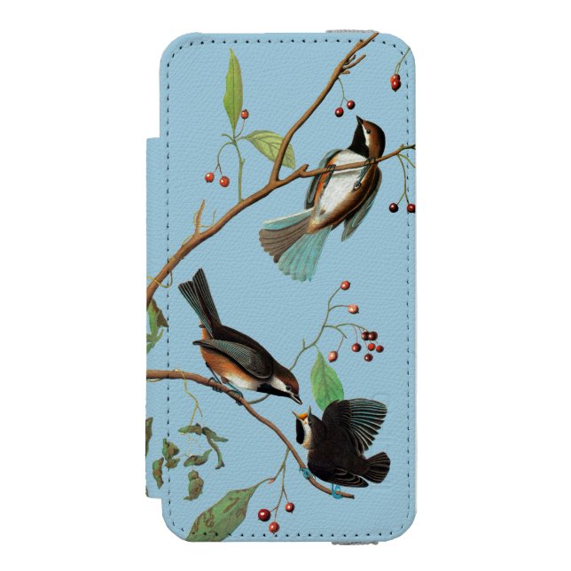 Audubon: Chickadee Incipio iPhone Wallet Skal (Folio Framsidan)