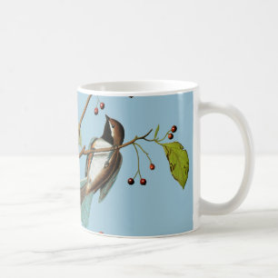 Audubon: Chickadee Kaffemugg