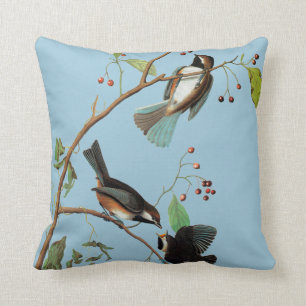 Audubon: Chickadee Kudde