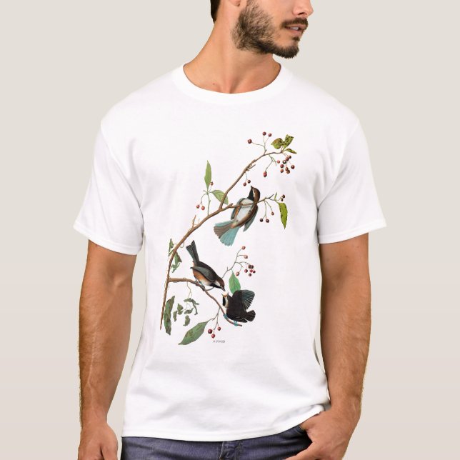 Audubon: Chickadee T-shirt (Framsida)