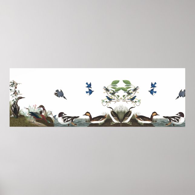 Audubon Collage Birds Animal Wildlife Poster 1 (Framsidan)