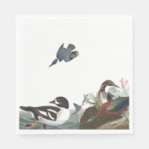 Audubon Collage Birds Wildlife Pappra Napkins Pappersservett