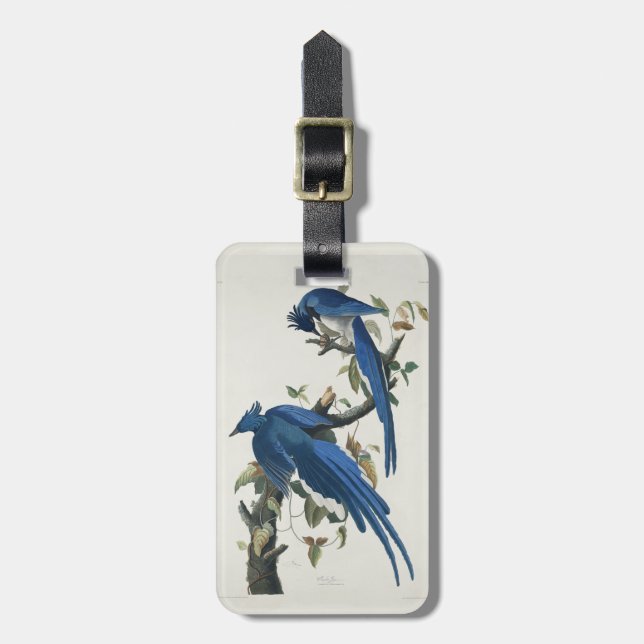 Audubon Columbia Jay Black Throated Magpie Jay Bagagebricka (Vertikal Framsida)