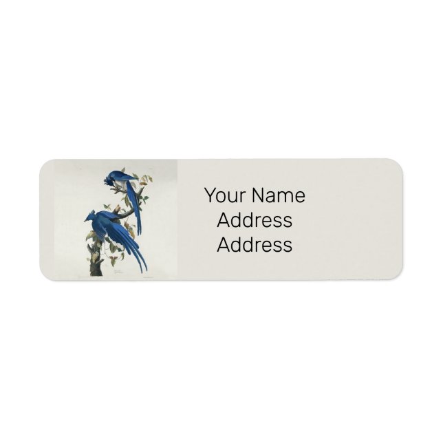 Audubon Columbia Jay Black Throated Magpie Jay Returadress Etikett (Framsidan)