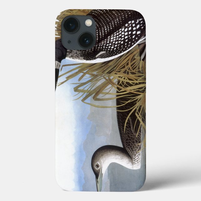 Audubon: Common Loon (Baksida)