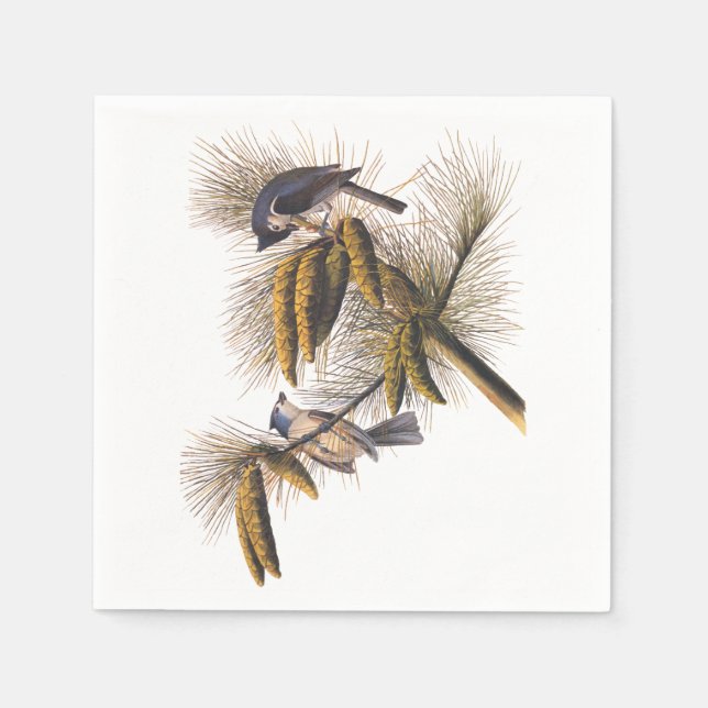 Audubon Crestmus Cocktail Napkins Pappersservett (Framsidan)