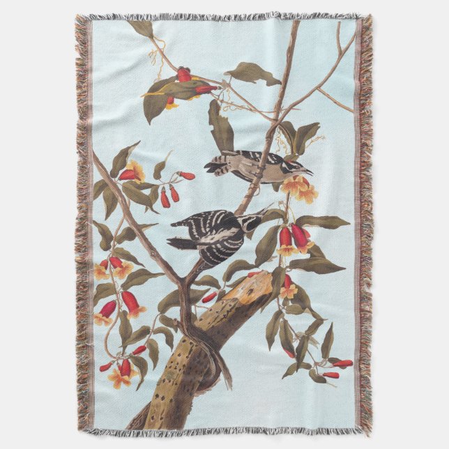 Audubon Downy Woodpecker Couple med Flowers Filt (Framsidan Vertikal)