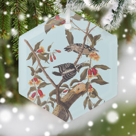 Audubon Downy Woodpecker Couple med Flowers Julgransdekoration