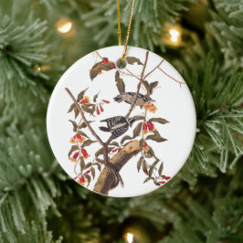 Audubon Downy Woodpecker Pair Julgransprydnad Keramik