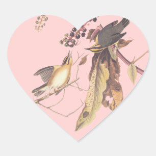 Audubon Eating Warbler i Mask Hjärtformat Klistermärke