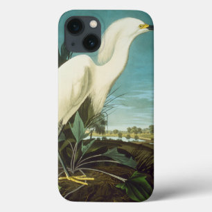 Audubon: Egret