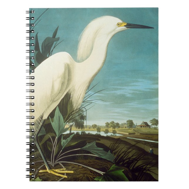 Audubon: Egret Anteckningsbok Med Spiral (Framsidan)