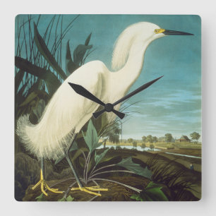 Audubon: Egret Fyrkantig Klocka