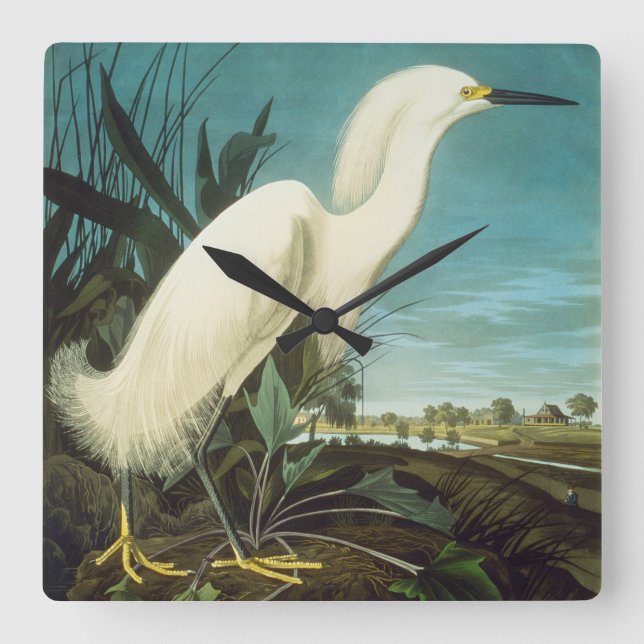 Audubon: Egret Fyrkantig Klocka (Framsida)