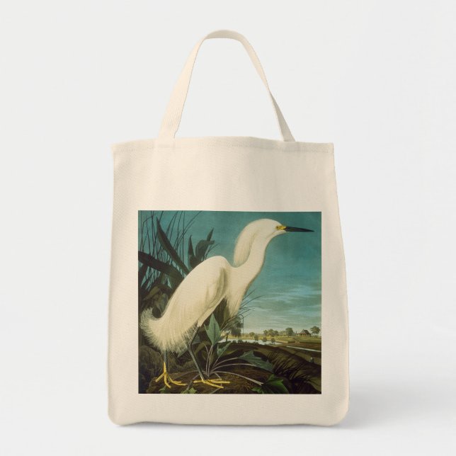 Audubon: Egret Tygkasse (Framsidan)