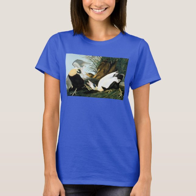 Audubon: Eider Anka T-shirt (Framsida)