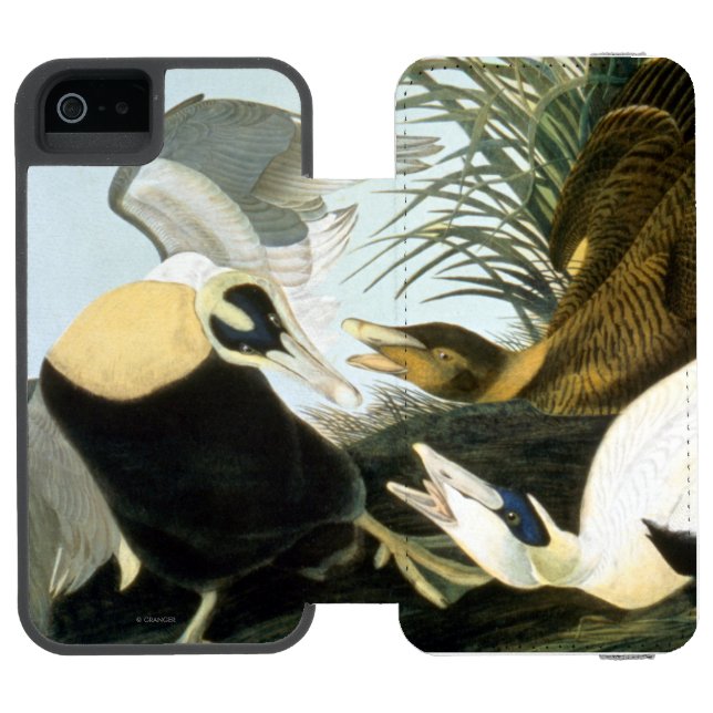 Audubon: Ejder Incipio iPhone Wallet Skal (Folio Öppen)