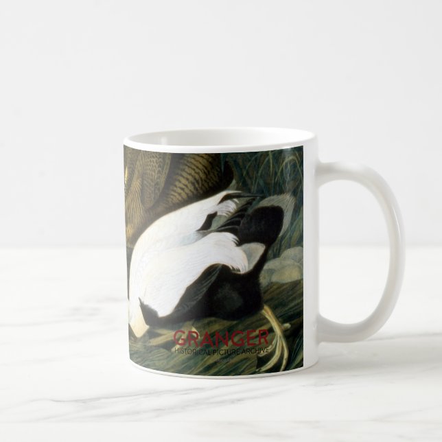 Audubon: Ejder Kaffemugg (Höger)