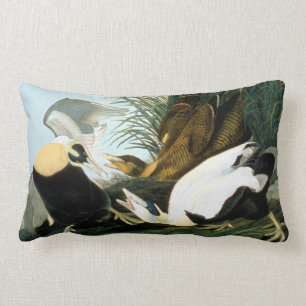 Audubon: Ejder Lumbarkudde