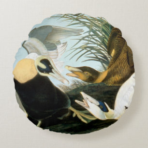 Audubon: Ejder Rund Kudde