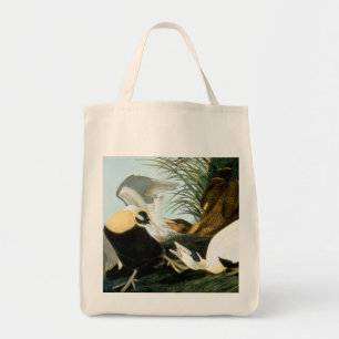 Audubon: Ejder Tygkasse