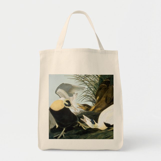 Audubon: Ejder Tygkasse (Framsidan)