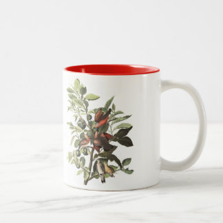 Audubon fågelmugg, slipad duva, 15 uns. Två-Tona Två-Tonad Mugg