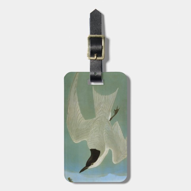 Audubon: Fiskmås-Fakturerad tärna Bagagebricka (Vertikal Framsida)