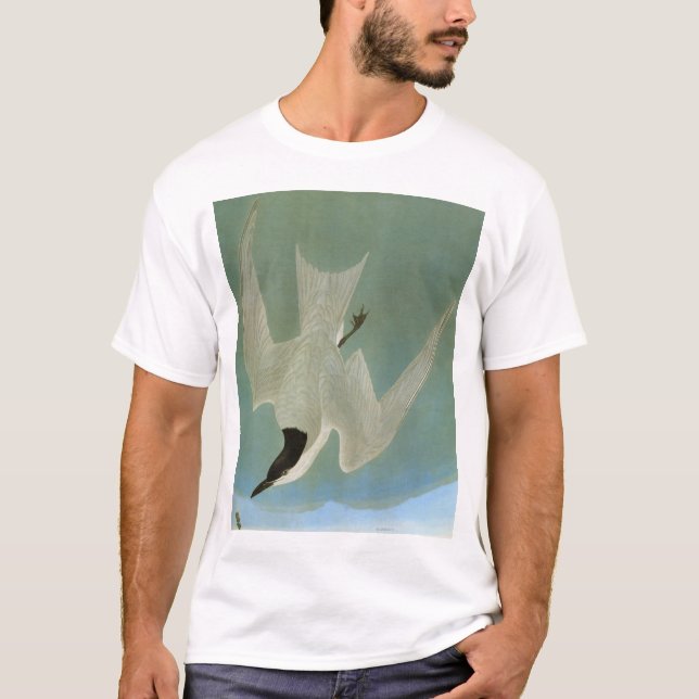 Audubon: Fiskmås-Fakturerad tärna T-shirt (Framsida)