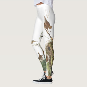 Audubon gärdsmygfåglar bygga bo All över Leggings