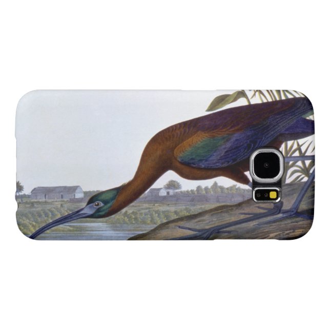Audubon: Glansiga Ibis Case-Mate Samsung Galaxy Skal (Baksidan Horisontell)