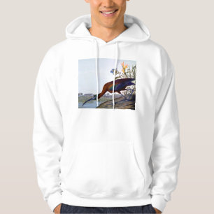 Audubon: Glansiga Ibis Hoodie