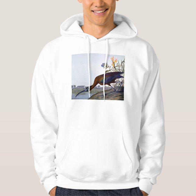 Audubon: Glansiga Ibis Hoodie (Framsida)