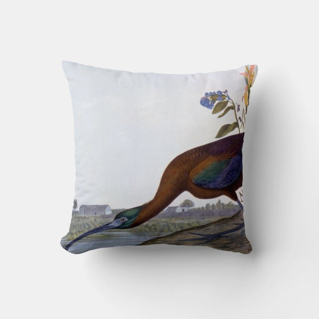 Audubon: Glansiga Ibis Kudde (Framsida)
