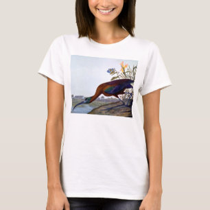 Audubon: Glansiga Ibis T-shirt