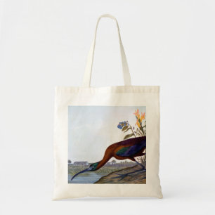 Audubon: Glansiga Ibis Tygkasse