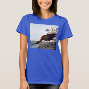 Audubon: Glossy Ibis Tee Shirt